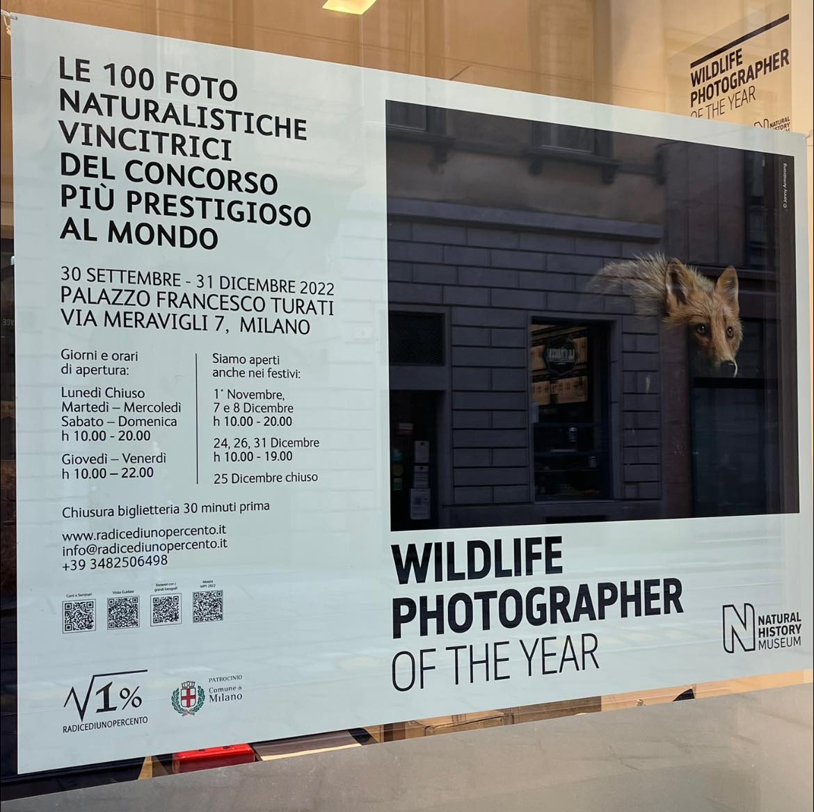 Wildlife Photographer of the Year: la mostra di fotografie naturalistiche a Milano