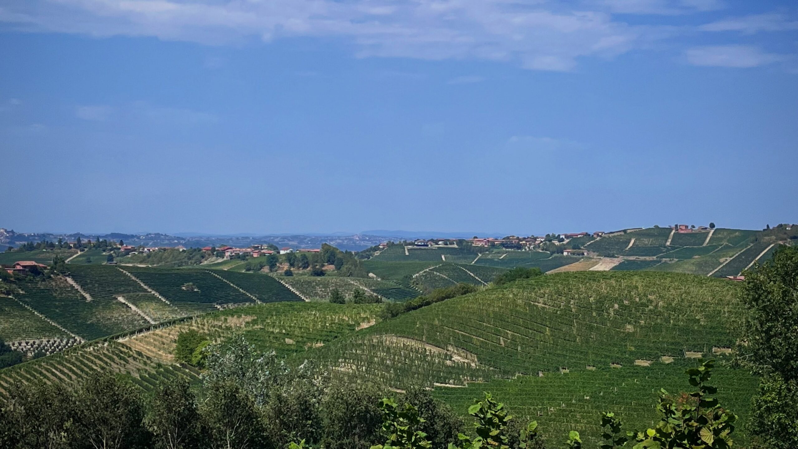 Monferrato tra borghi e vigneti: tre giorni di colline e degustazioni